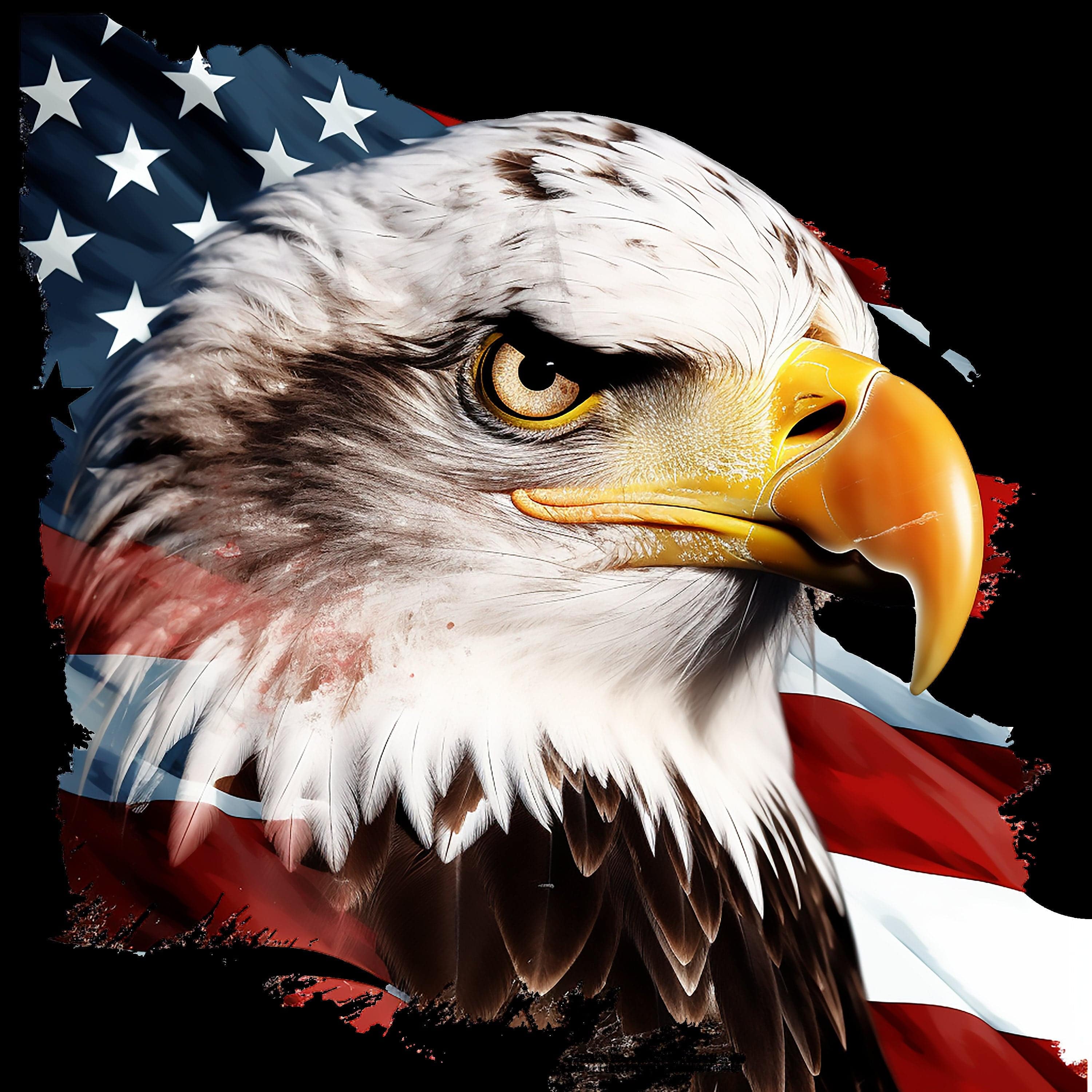 Eagle American Flag 3 - AllTrade Apparel