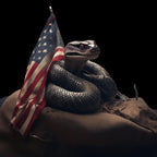 Don't Tread On Me - AllTrade Apparel